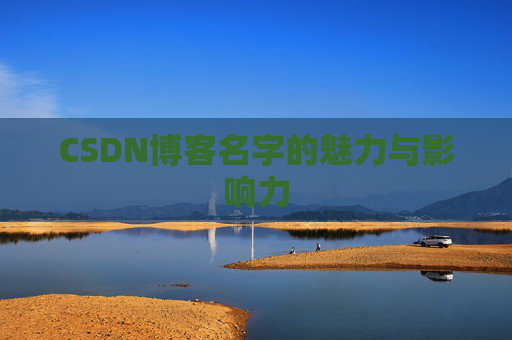 CSDN博客名字的魅力与影响力